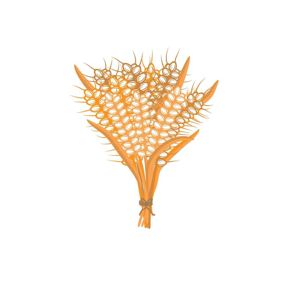 épillets de blé sur fond blanc. un tas d'oreilles illustration vectorielle isolée. vecteur