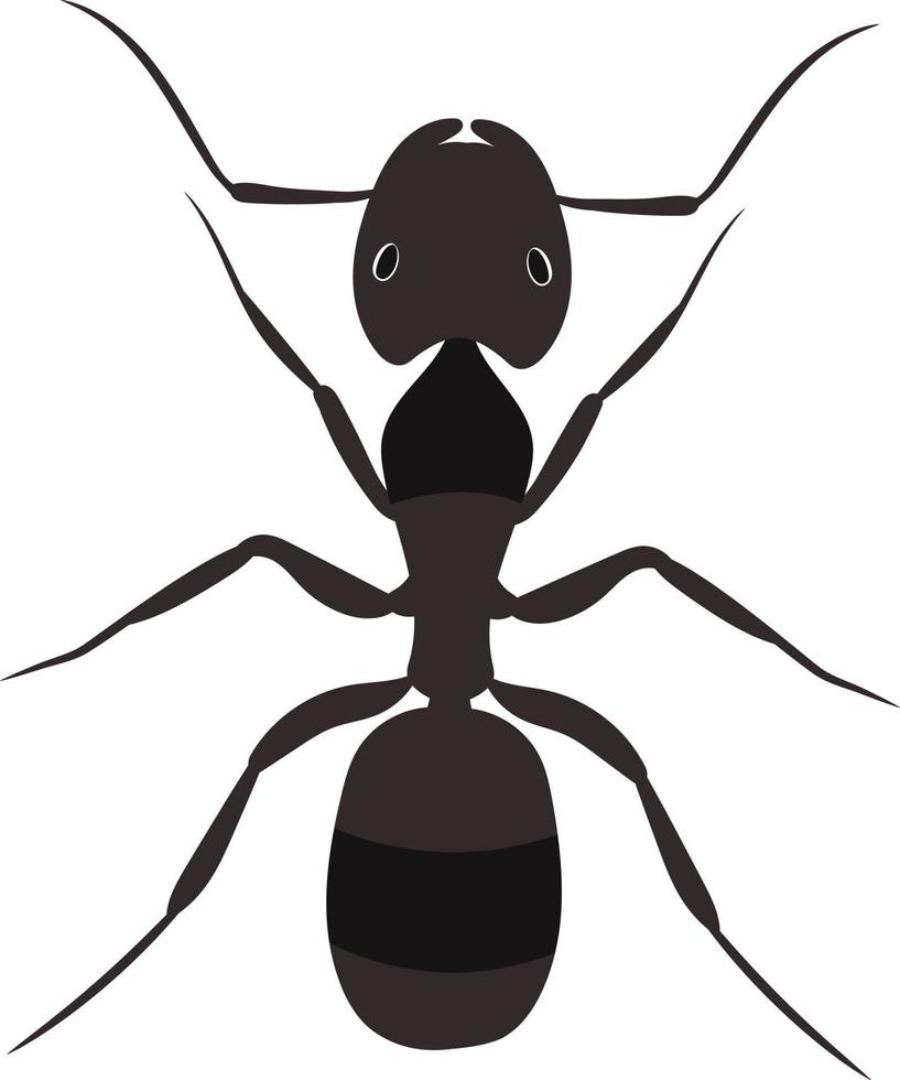 fourmi vue de dessus illustration 2d vecteur