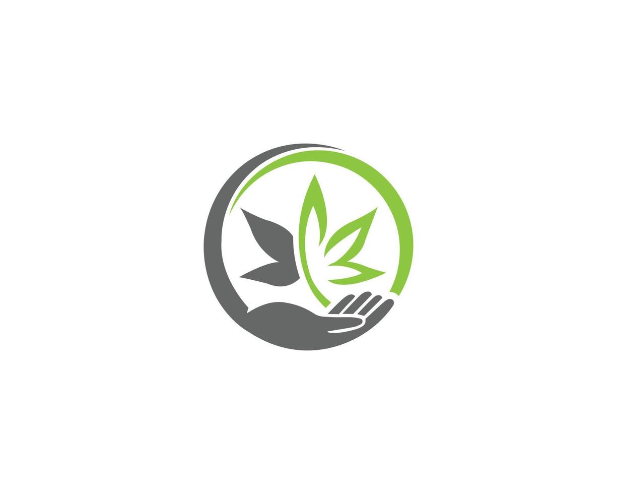 logo de feuille de marijuana ou de cannabis avec dessin vectoriel de modèle d'illustration de symbole de main.