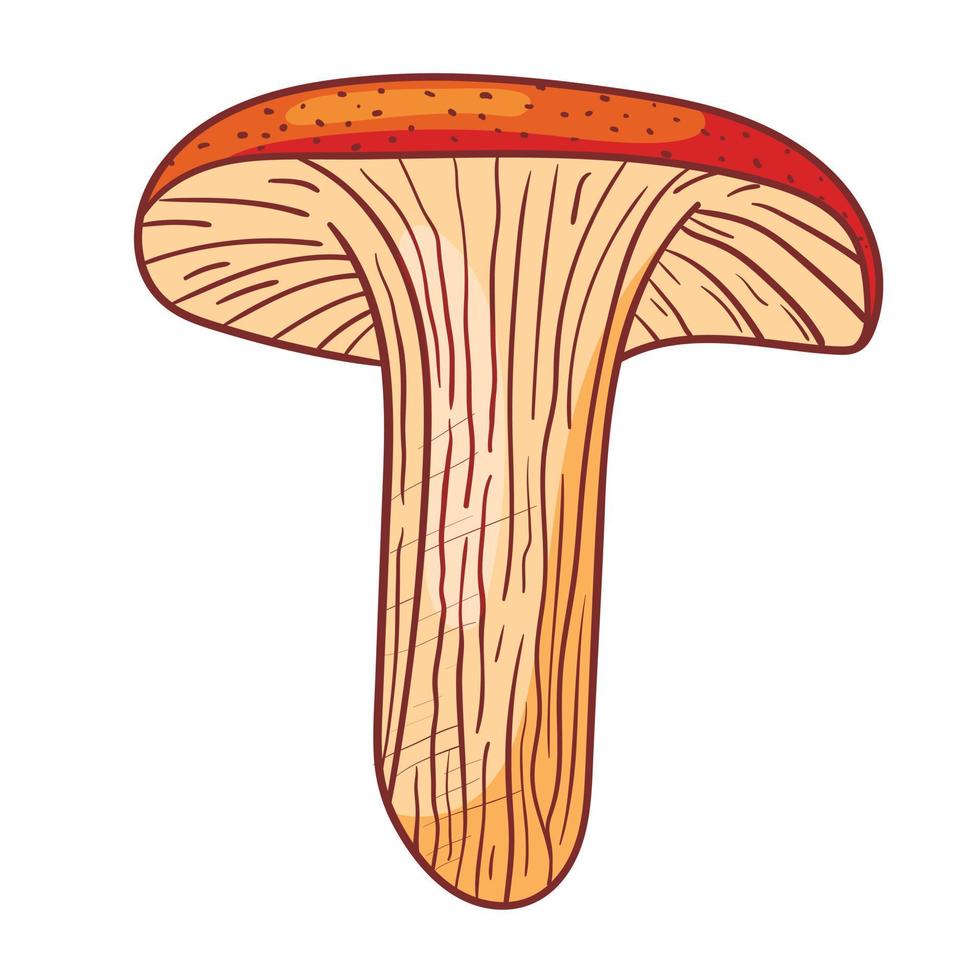 illustration de doodle isolé de vecteur de champignon sauvage aux champignons dans le style de contour.