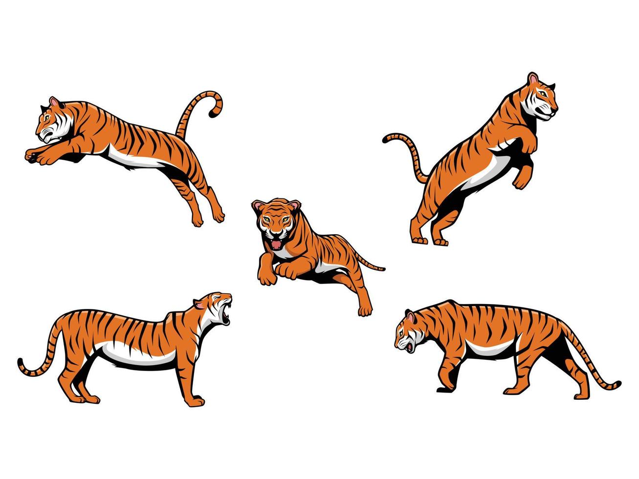ensemble de tigres vecteur dessin animé illustration mascotte logo isolé sur fond blanc
