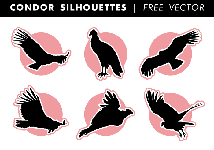 Vecteur libre de silhouettes de condor