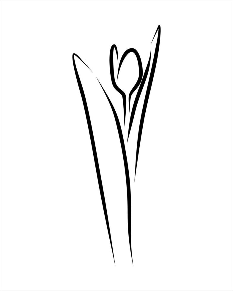 dessin au trait de fleur vecteur