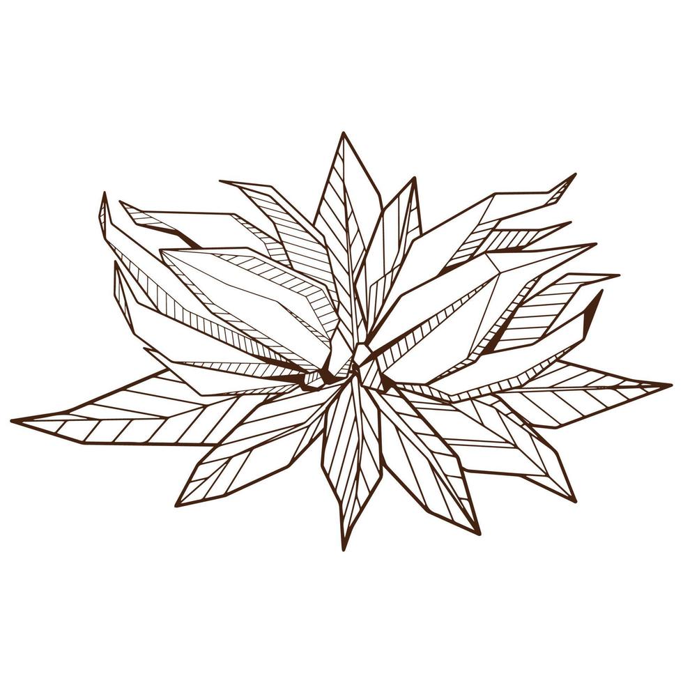 fleur épanouie géométrique dessinée à la main, dessin au trait de bourgeon d'ylang-ilang, ensemble de symboles isolés, modèle de livre de coloriage. vecteur