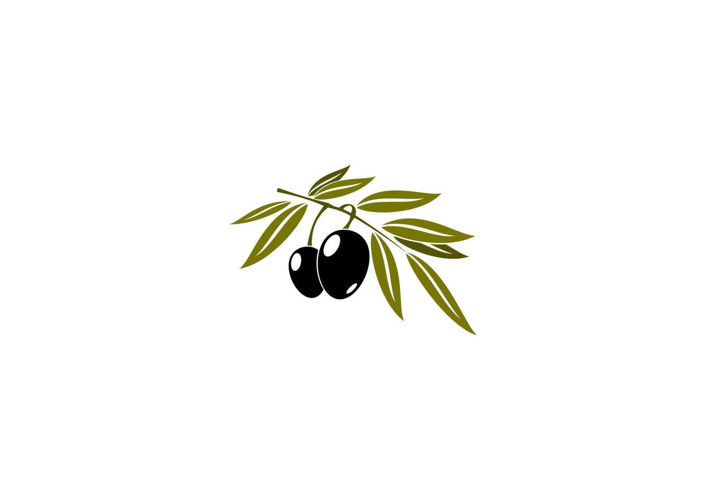 branche d'olives noires avec feuille vecteur