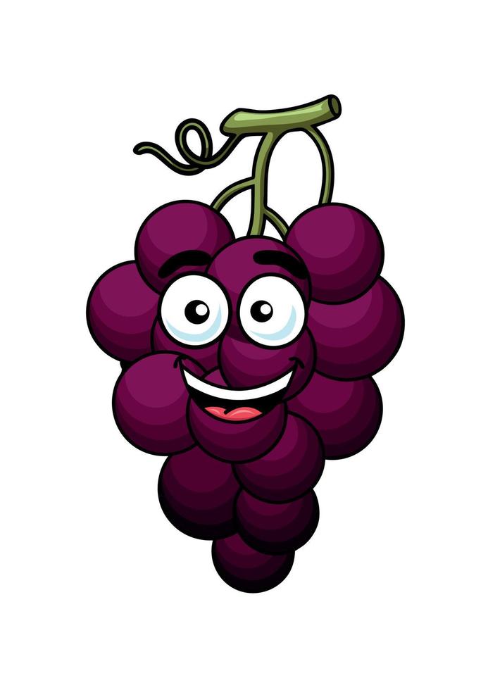 branche de raisin violet vecteur