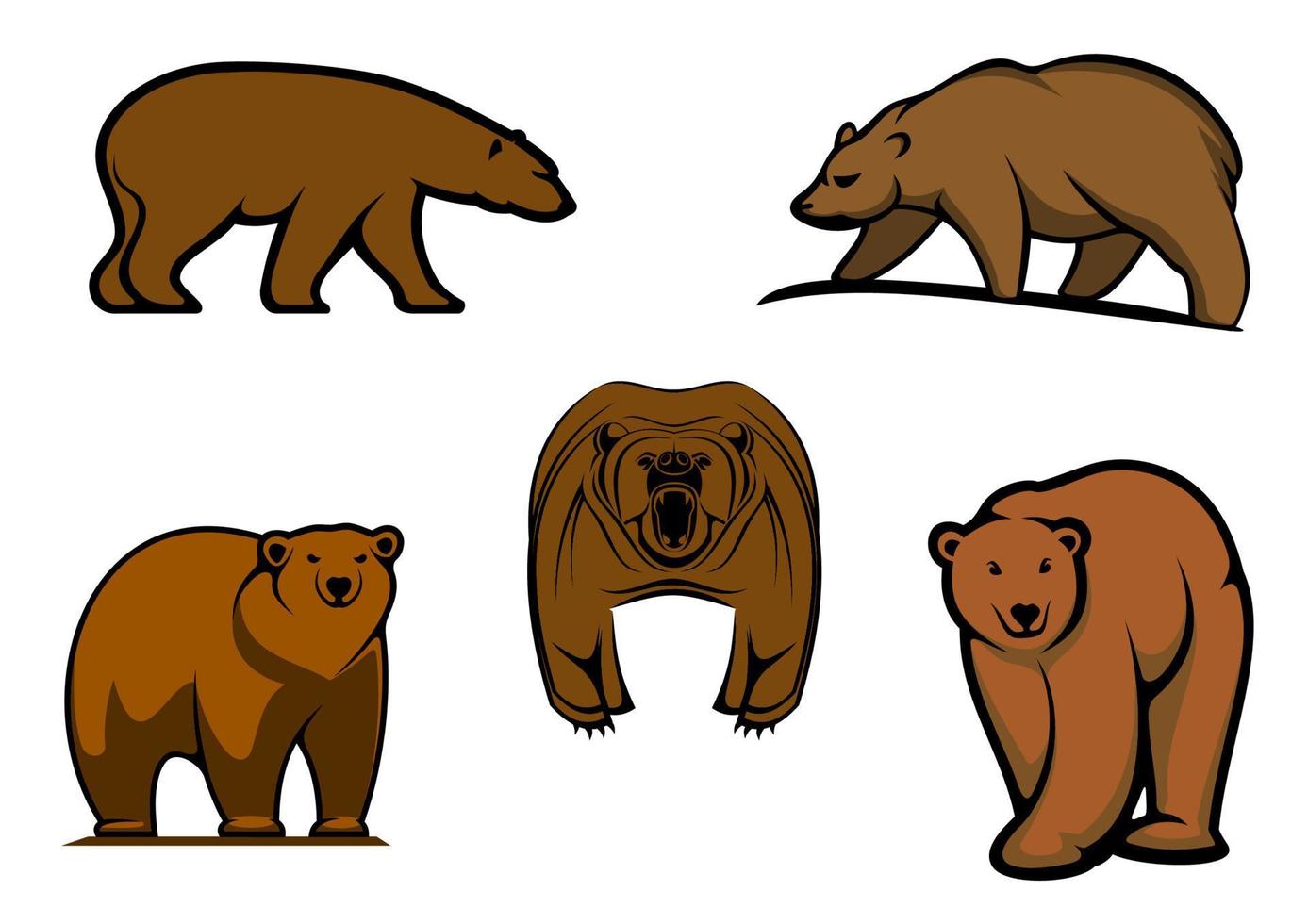 personnages d'ours sauvages bruns vecteur