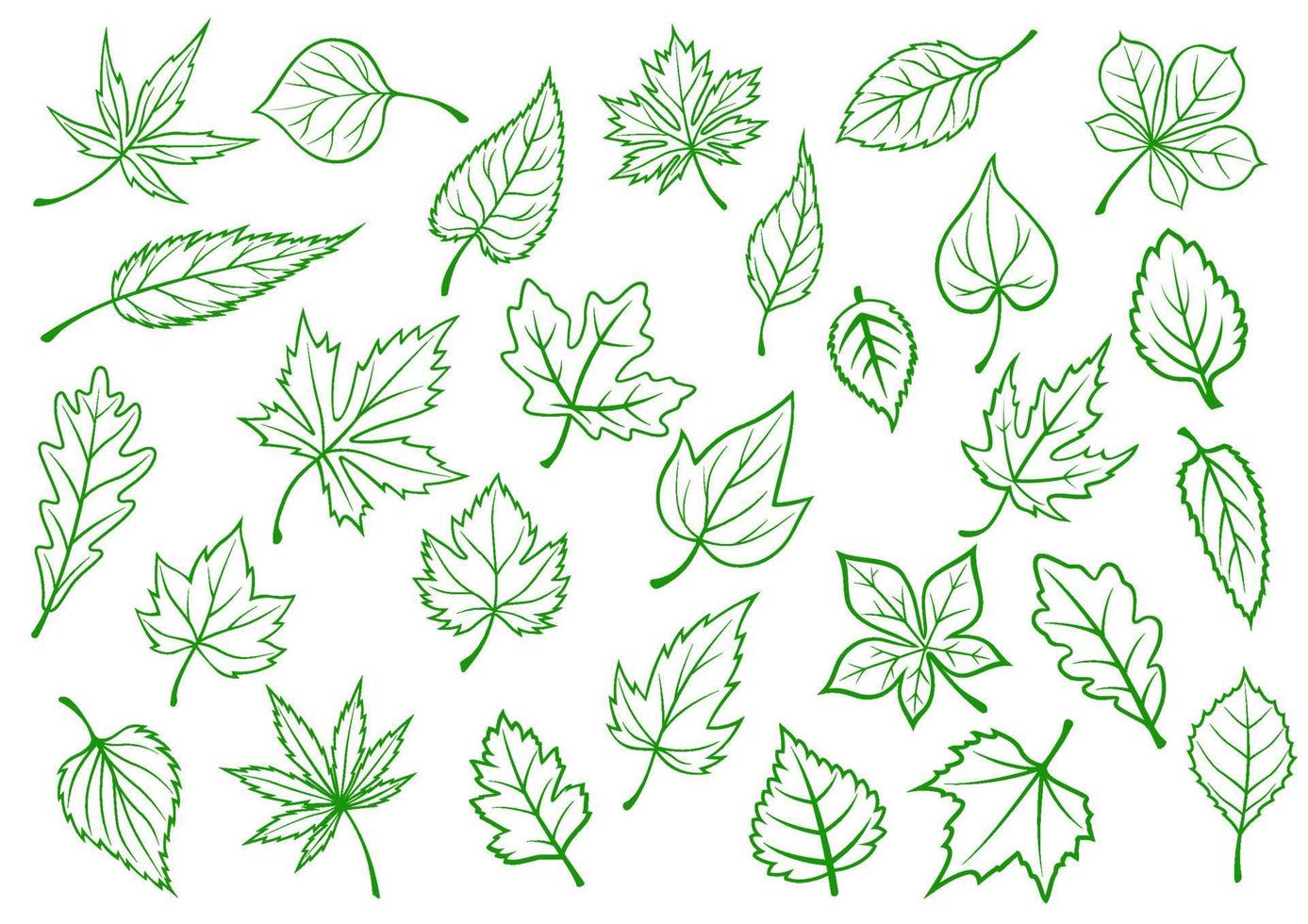 feuilles vertes dans le style de contour vecteur