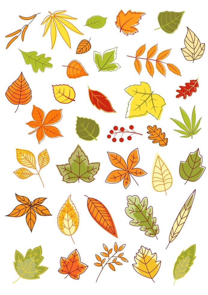 ensemble de feuilles d'automne colorées vecteur