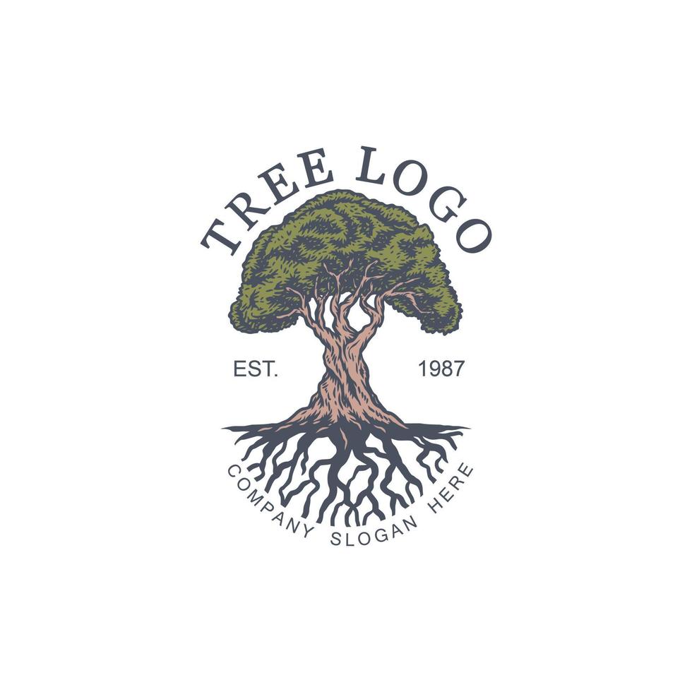 modèle de conception de logo d'illustration vectorielle d'arbre vintage, ligne dessinée à la main avec couleur numérique, illustration vectorielle vecteur
