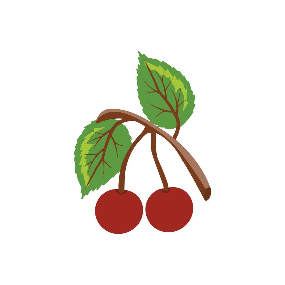 illustration vectorielle de deux cerises rouges vecteur