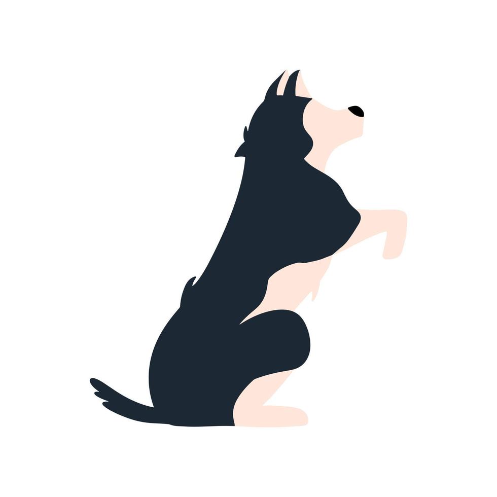 portrait d'un chien ou d'un loup. illustration vectorielle dans un style plat vecteur