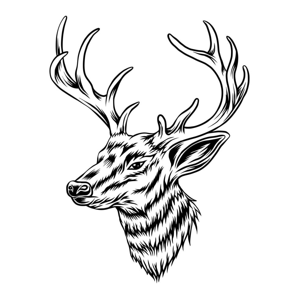 vecteur d'illustration de tête de cerf