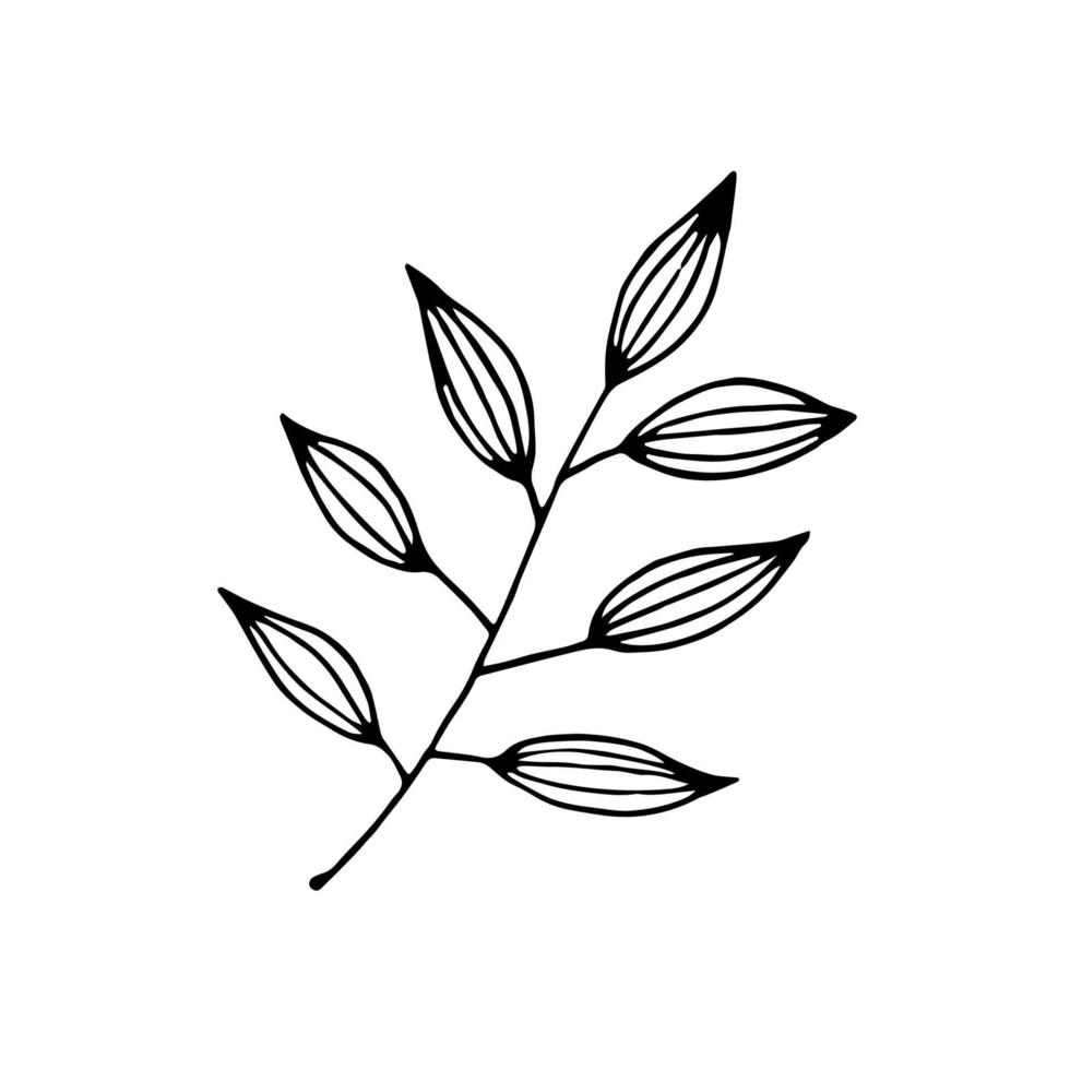 feuille de doodle dessinée à la main. clipart vectoriel avec branche.