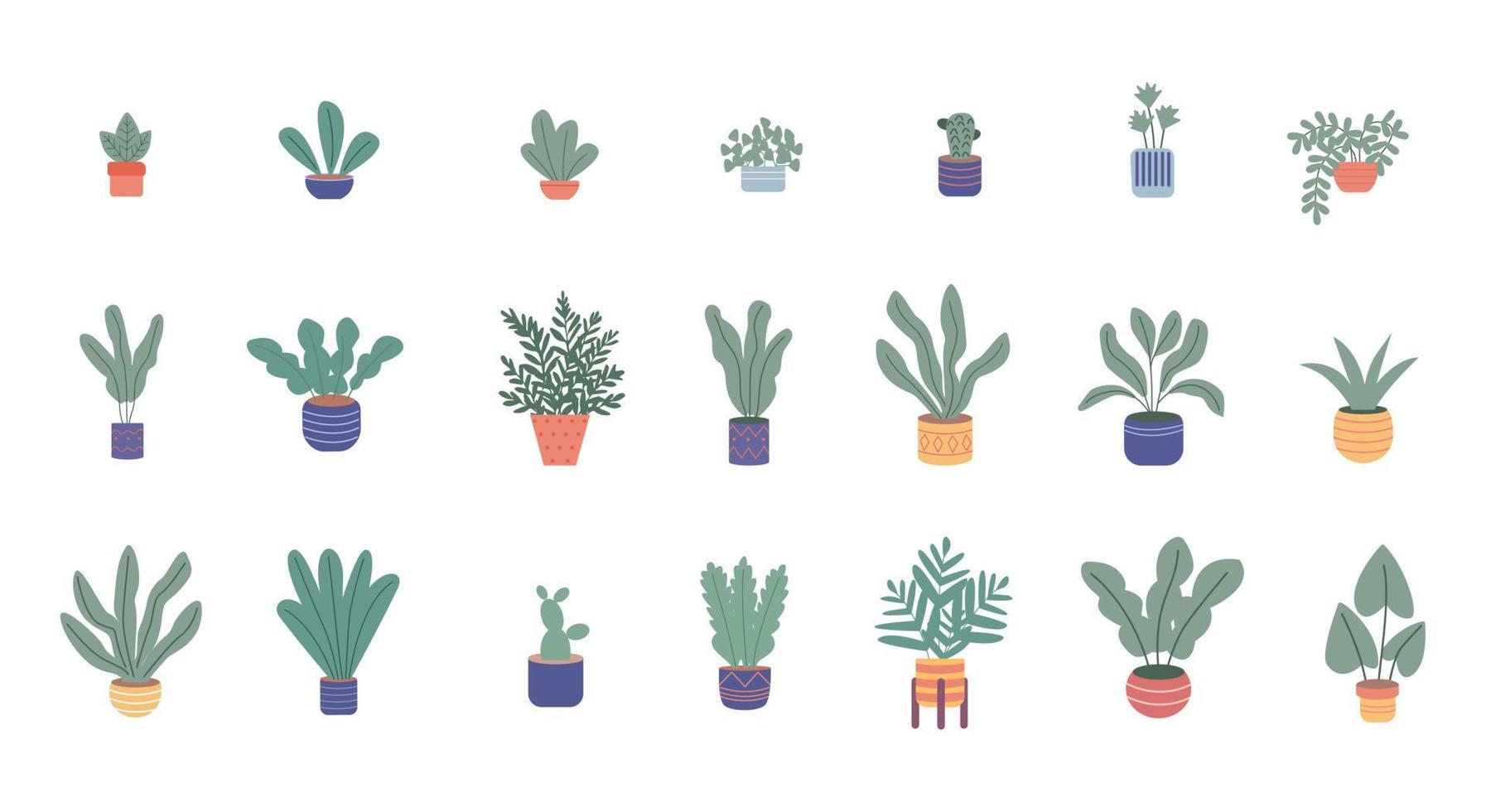 ensemble de différentes plantes d'intérieur. ficus, monstera, protea, pellaea, succulent dans un vase en pot. déco cosy scandinave. illustration de dessin animé de vecteur plat isolé sur blanc