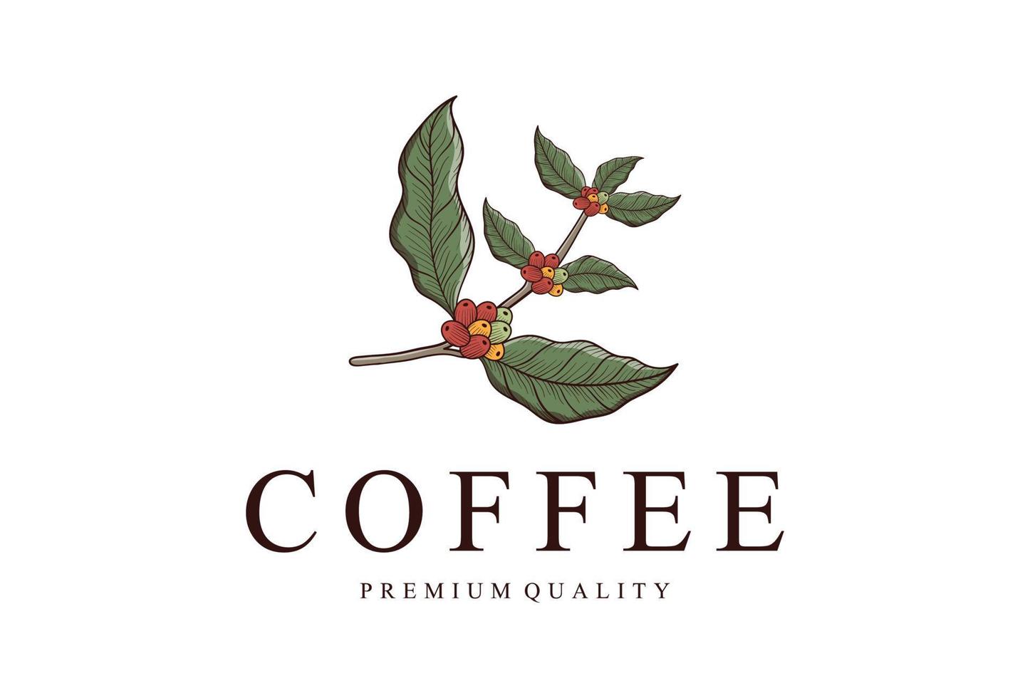 grain de café vintage rétro avec vecteur de logo de branche de plante pour café ou restaurant