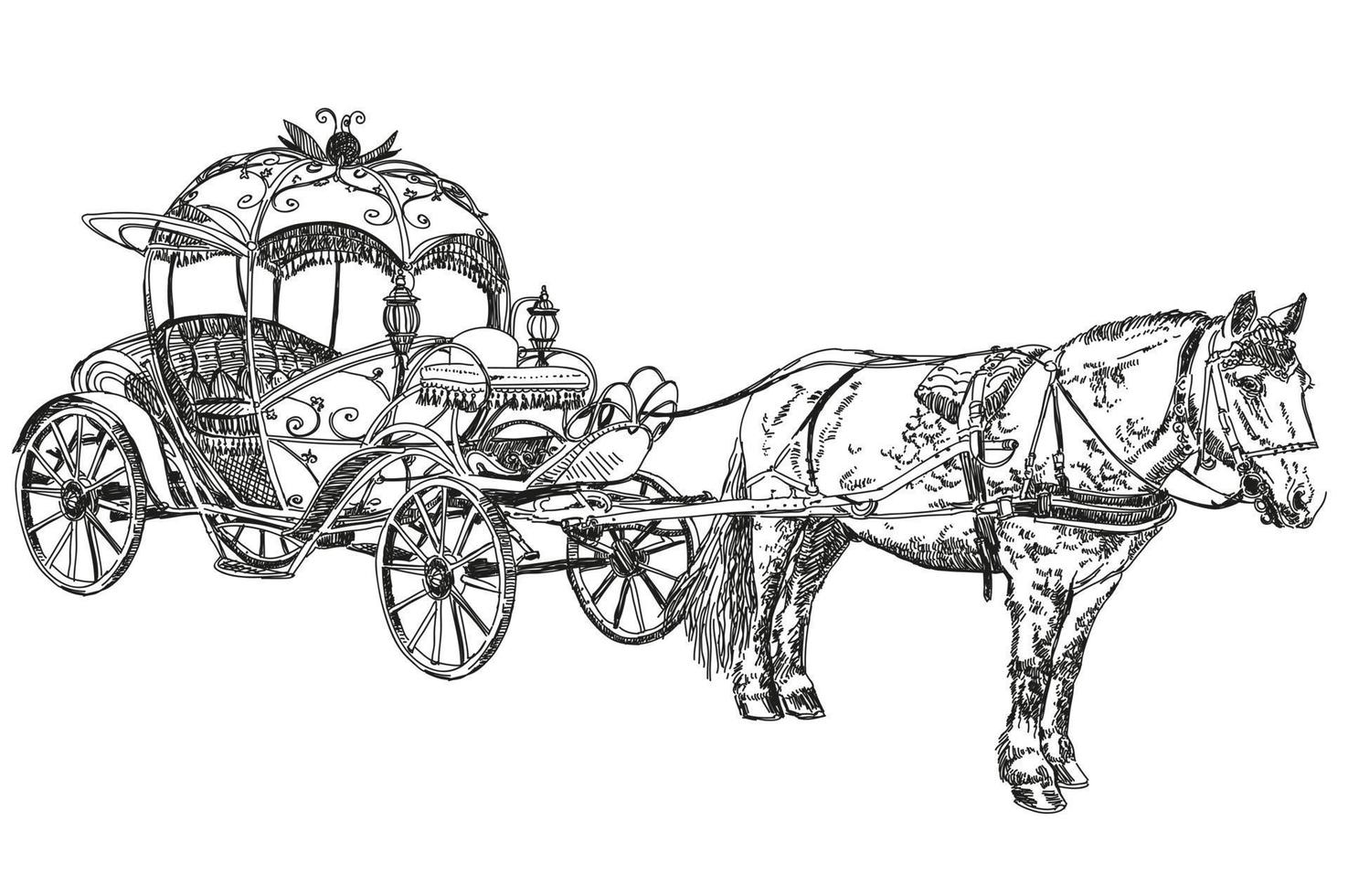 vecteur illustratoin- belle calèche à cheval