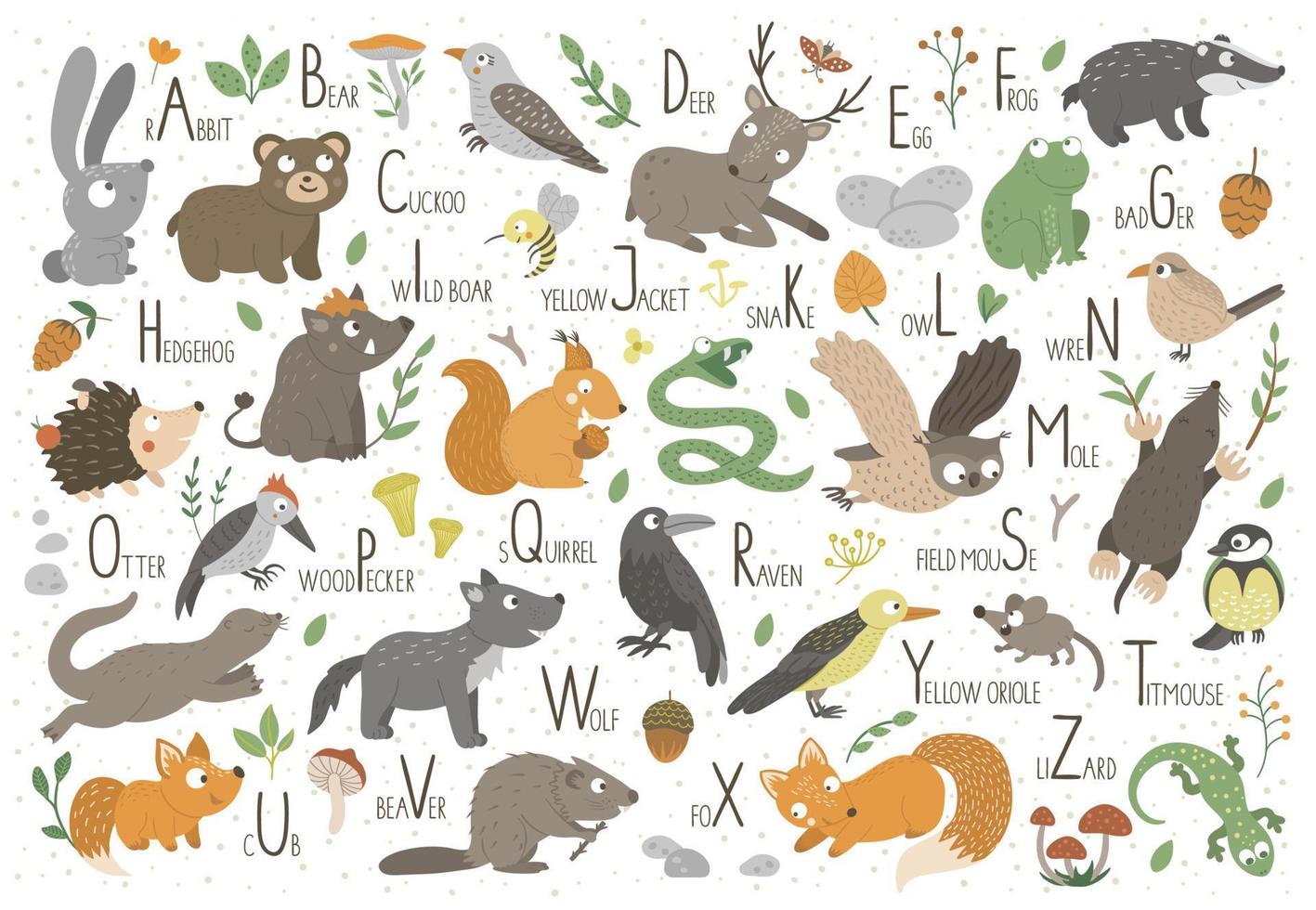 alphabet boisé pour les enfants. abc plat mignon avec des animaux de la forêt. affiche drôle de mise en page horizontale pour enseigner la lecture sur fond blanc. vecteur