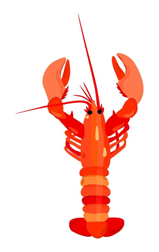 illustration vectorielle isolée du homard. vecteur