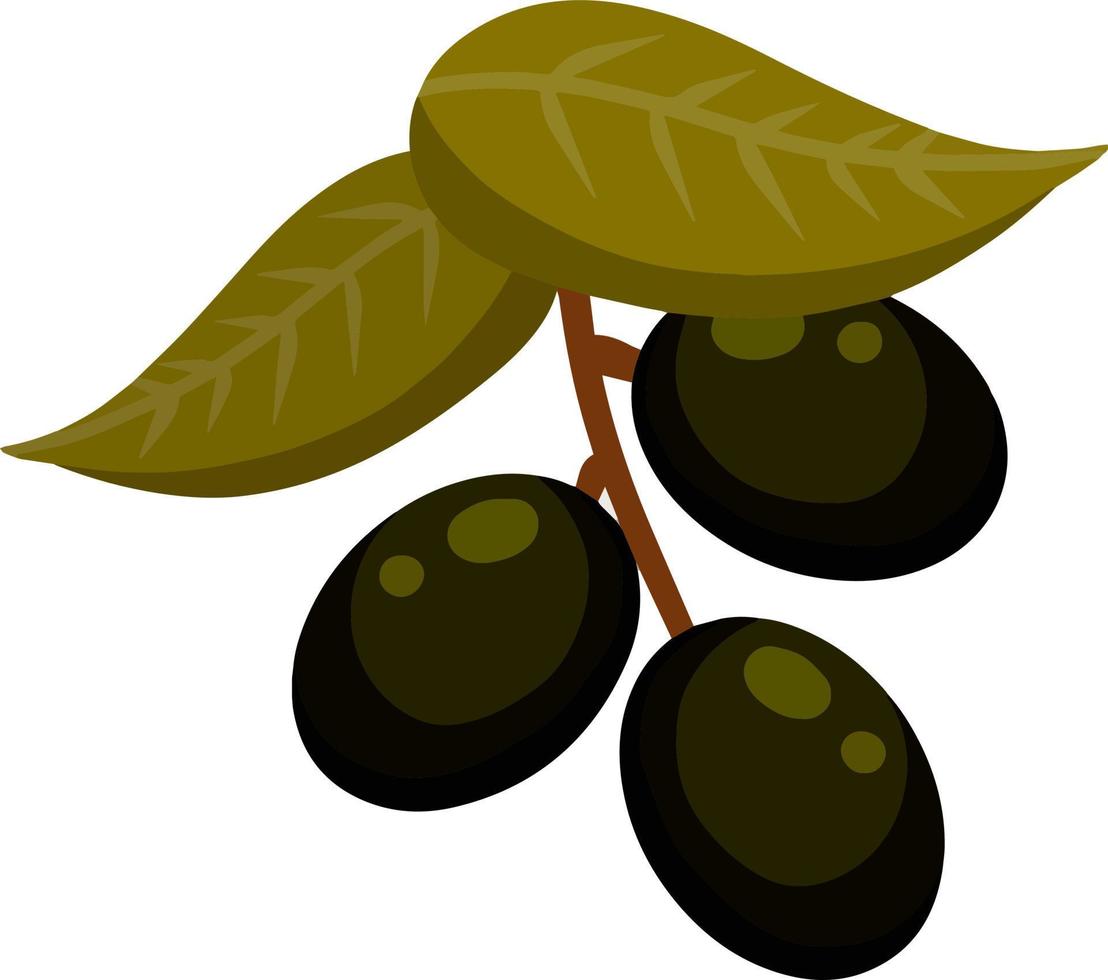 olive. légume vert sur une branche avec des feuilles. élément d'huile et une alimentation saine. illustration de plat de dessin animé isolé sur blanc vecteur