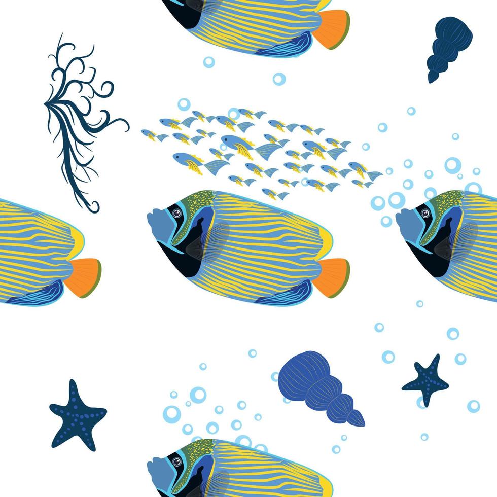 poisson-ange empereur pomacanthus imperator, personnage animalier marin. nature sous l'eau, poisson de zoo marin sauvage de l'océan. animaux lumineux motifs sans soudure. vecteur