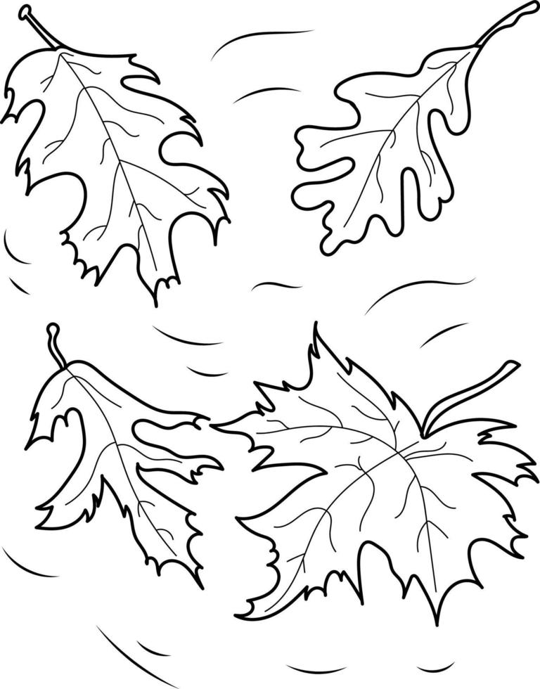 feuilles décrites, coloriage vecteur