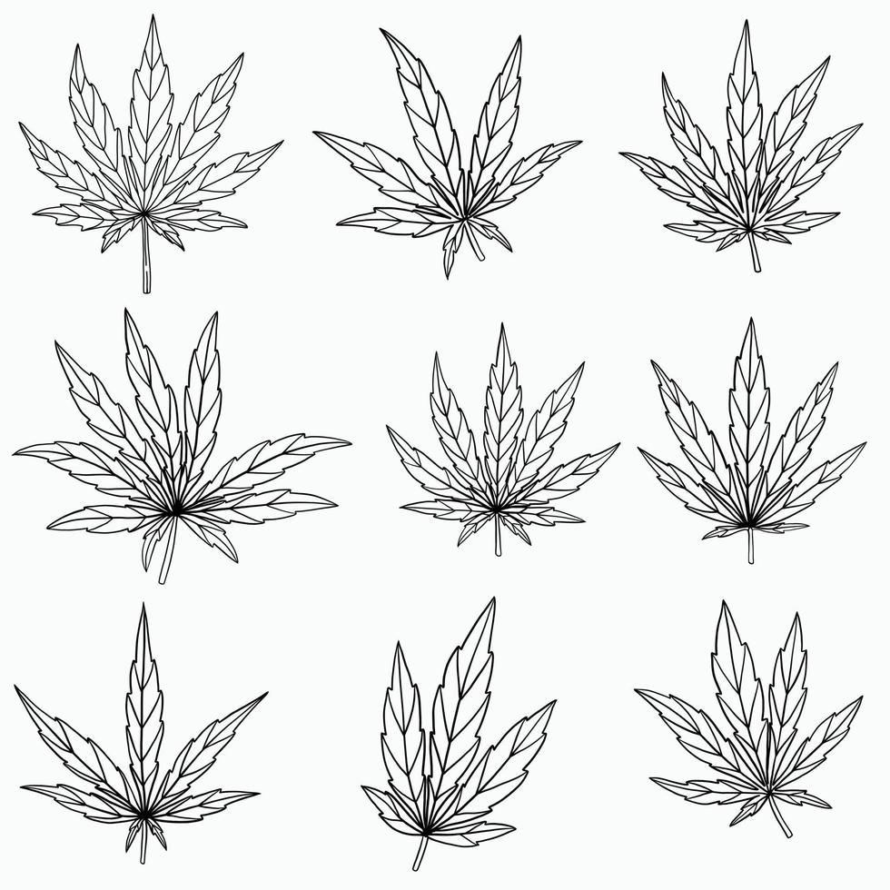 collection de dessins à main levée de feuilles de cannabis de simplicité. vecteur