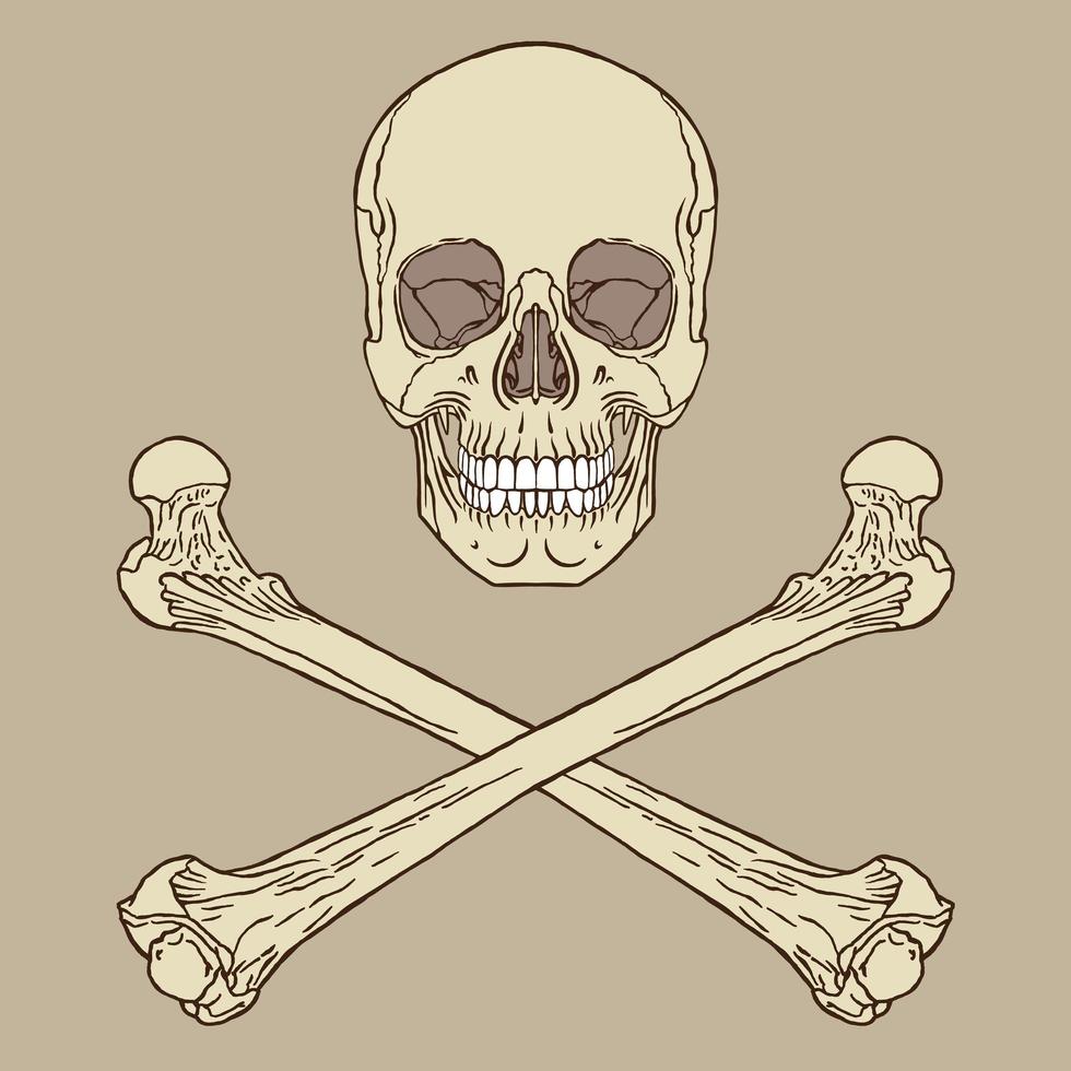 signe de pirate dessin vecteur