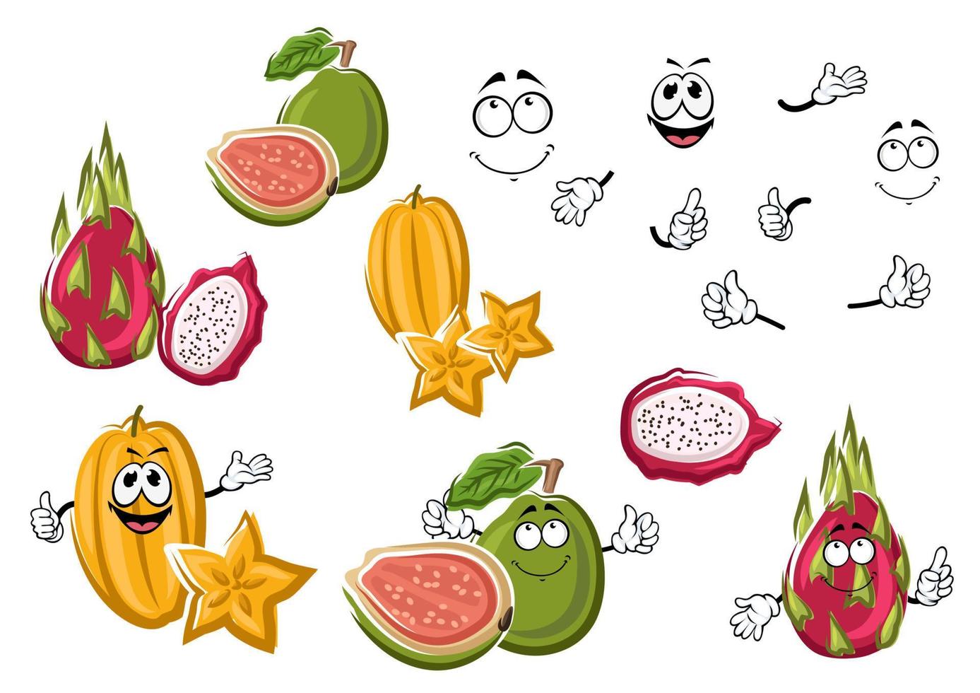 personnages de dessins animés de fruits tropicaux frais vecteur