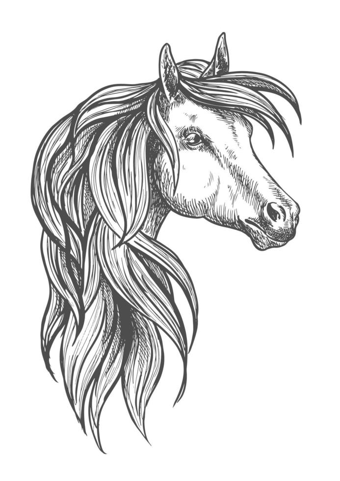 cavalerie morgan cheval croquis symbole vecteur