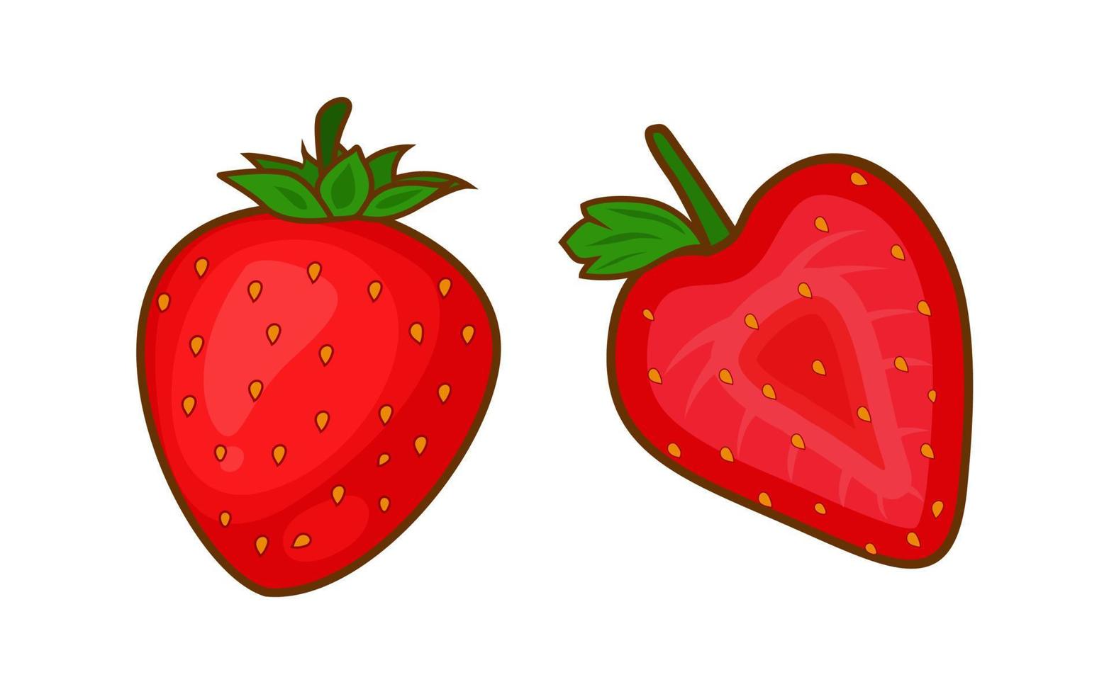 illustration vectorielle de tranche de fraise vecteur