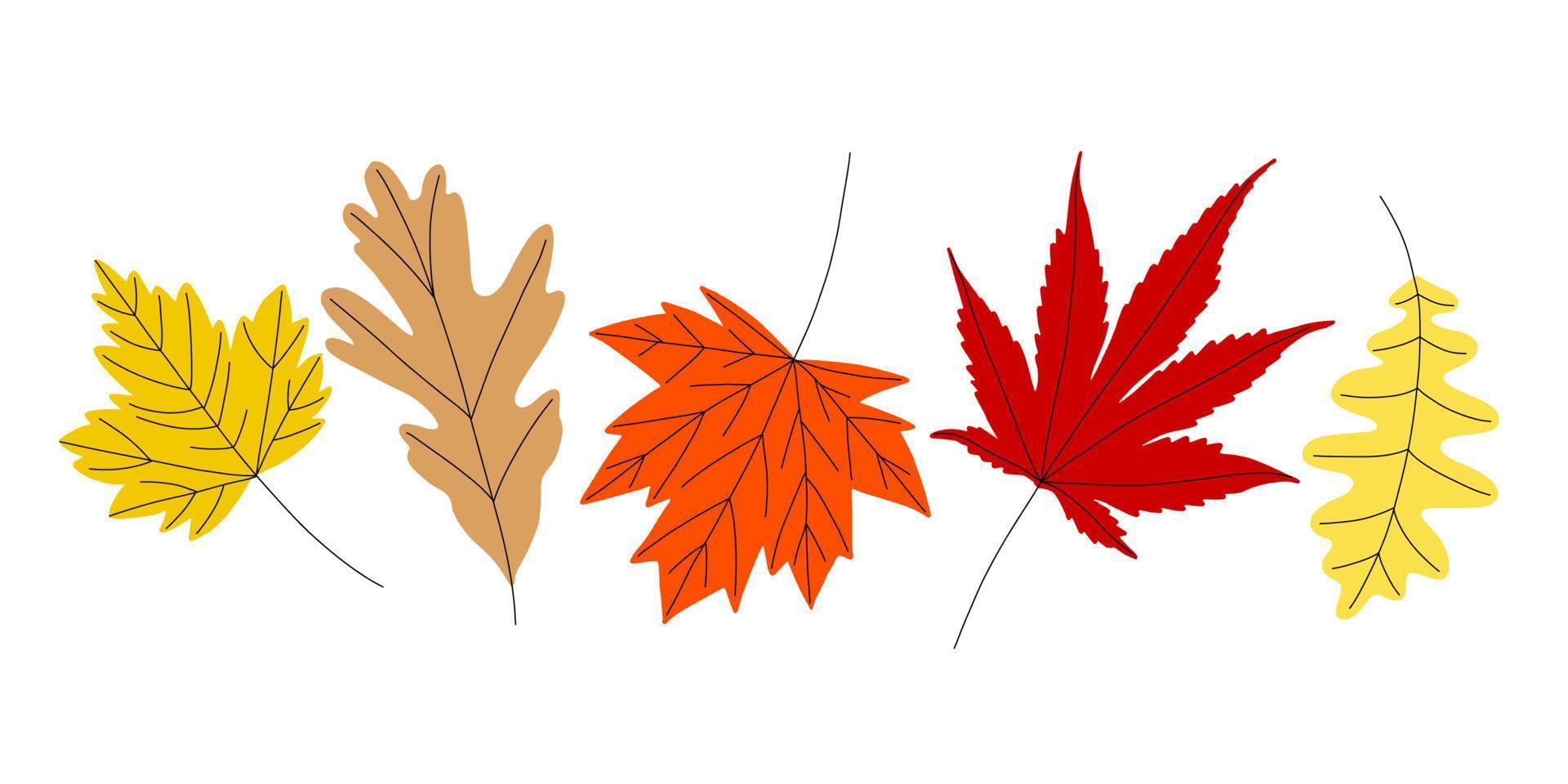 des illustrations d'automne lumineuses de divers types de feuilles. clip-art vectoriel floral de style plat. symboles d'automne est une illustration vectorielle isolée sur fond blanc.