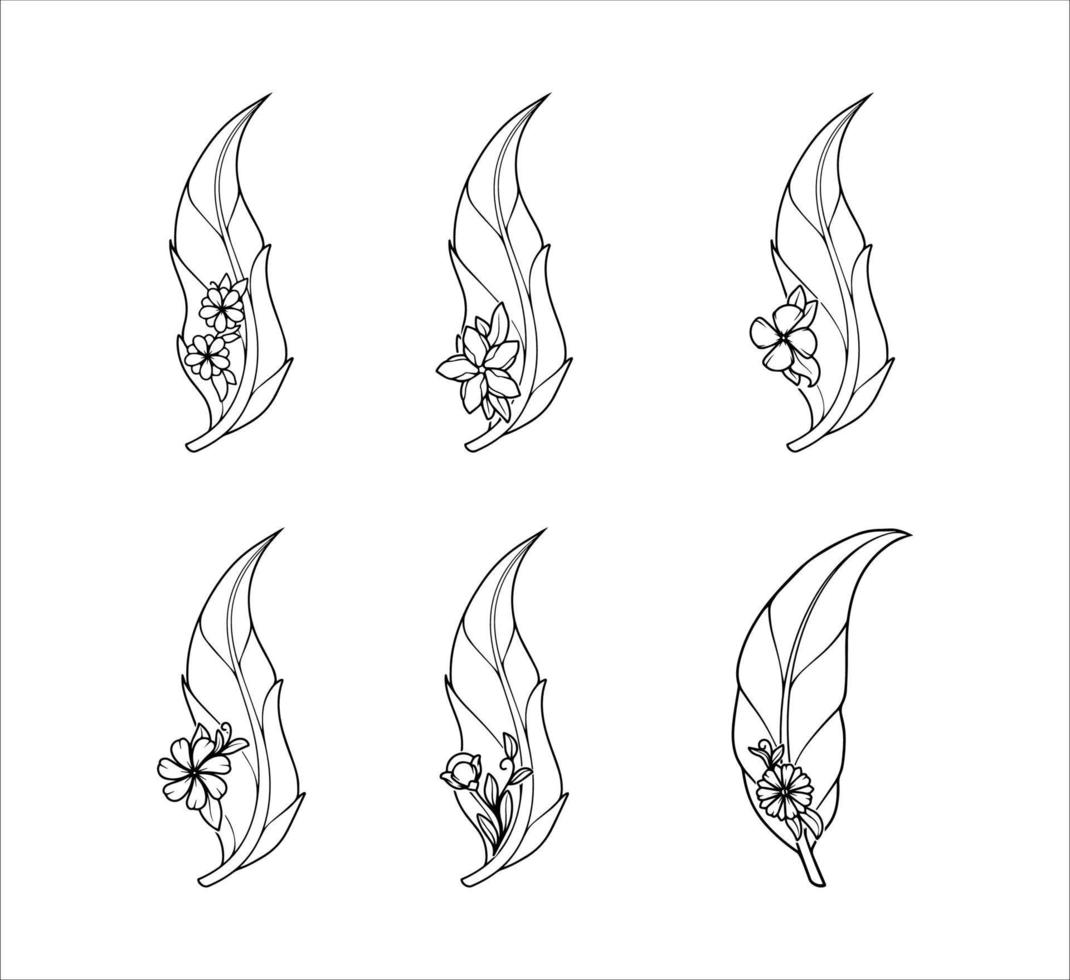 ensemble d'illustrations de plumes florales de décoration vecteur