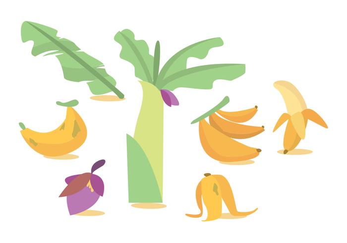 Vector d'arbre à la banane