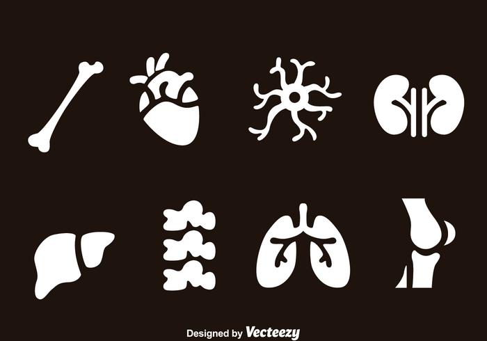 Icônes des organes humains vecteur