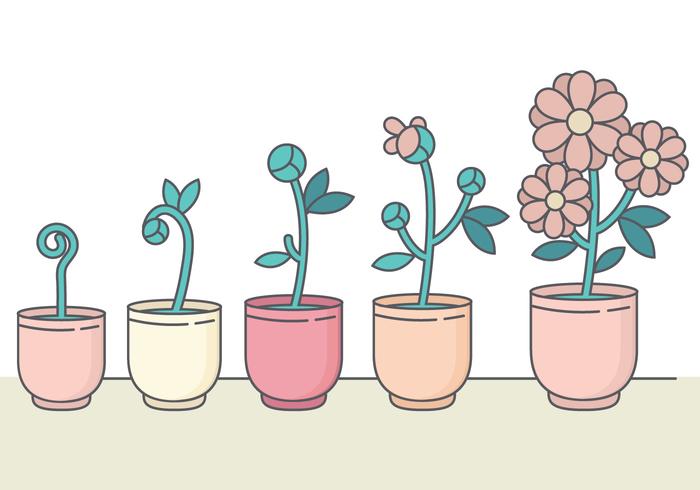 Cute Vector Flower Collection