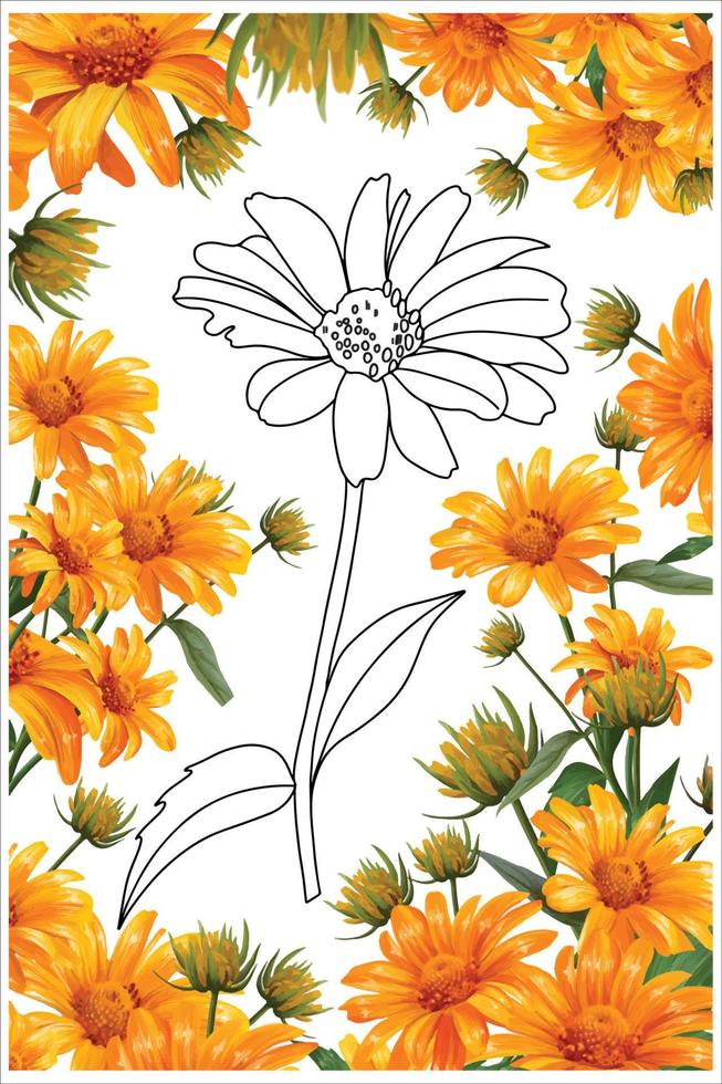 fleur de marguerite jaune, gerbera, livre de coloriage de fleurs, coloriage vecteur