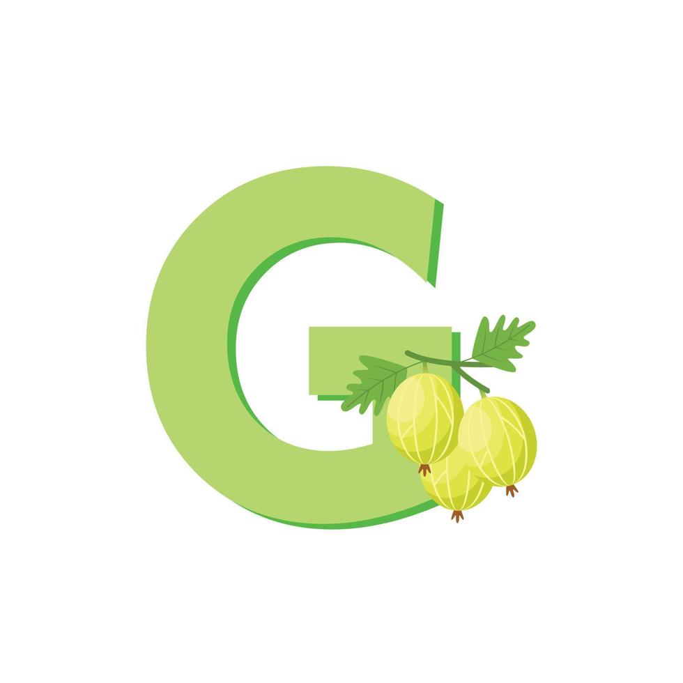 lettre g alphabet fruits groseille, vecteur de clip art, illustration isolé sur fond blanc