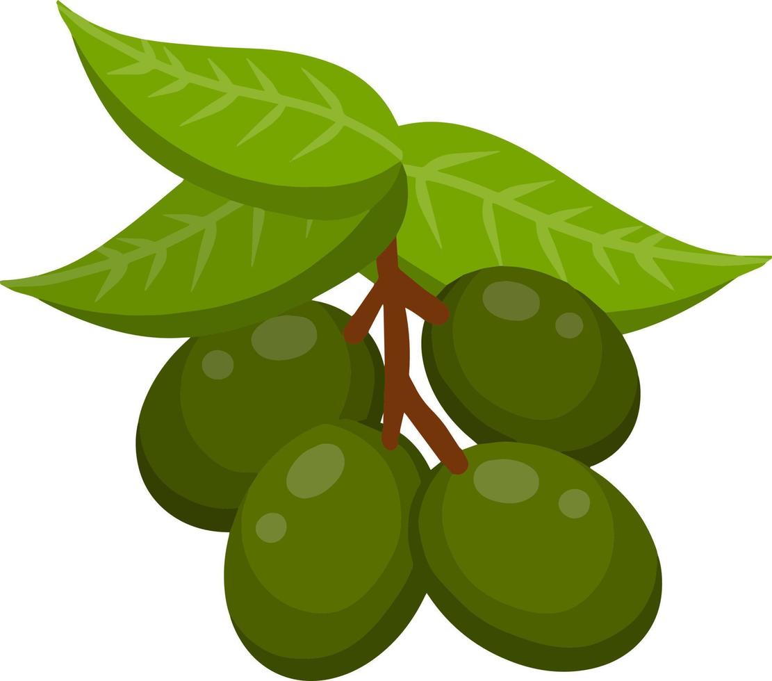 olive. légume vert sur une branche avec des feuilles. élément d'huile et une alimentation saine. illustration de plat de dessin animé isolé sur blanc vecteur