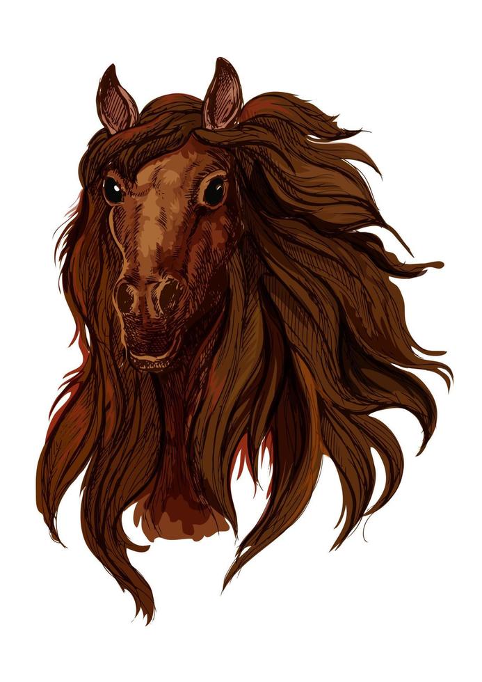 portrait de cheval de course alezan brun vecteur