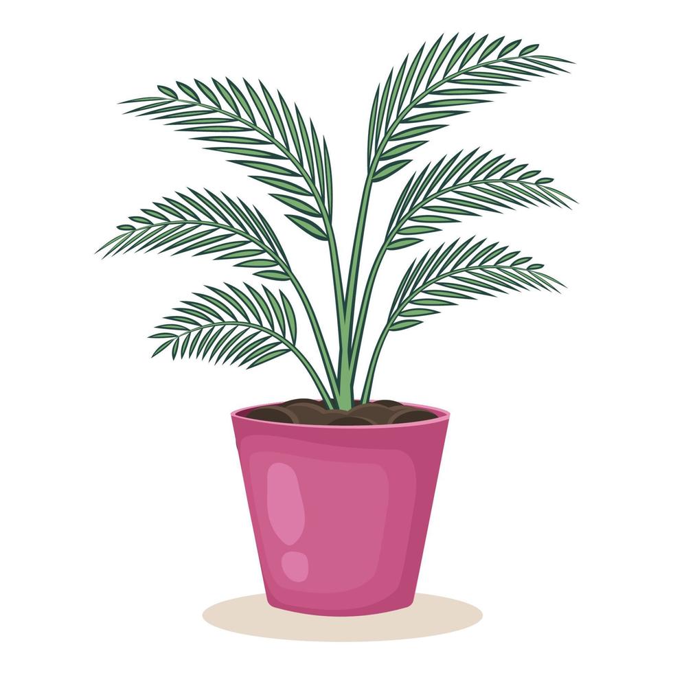 plante d'intérieur en pot de fleur. plante d'intérieur isolée sur fond blanc. décoration de maison. feuilles tropicales de palmier. illustration vectorielle. vecteur