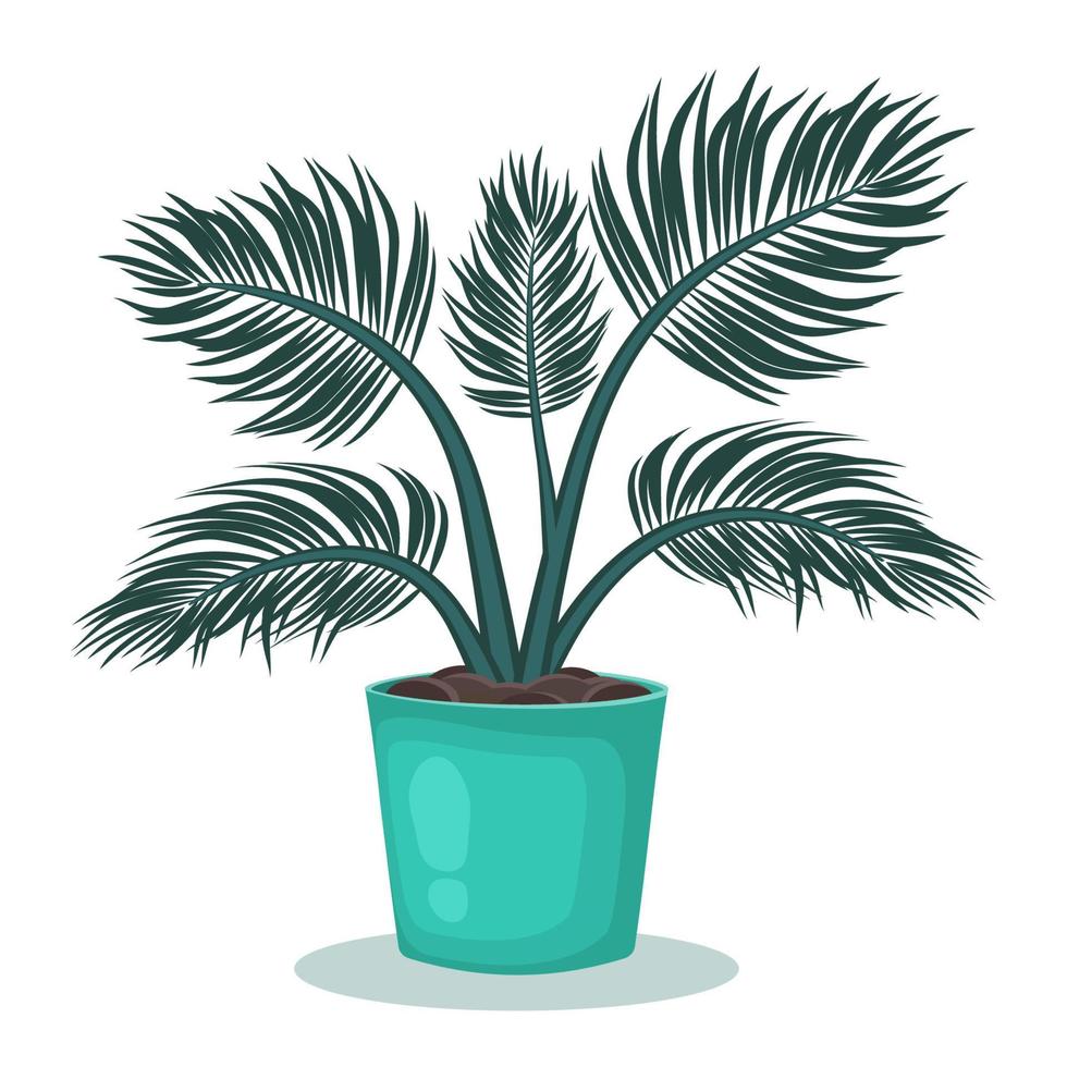 plante d'intérieur en pot de fleur. plante d'intérieur isolée sur fond blanc. décoration de maison. feuilles tropicales de palmier. illustration vectorielle. vecteur