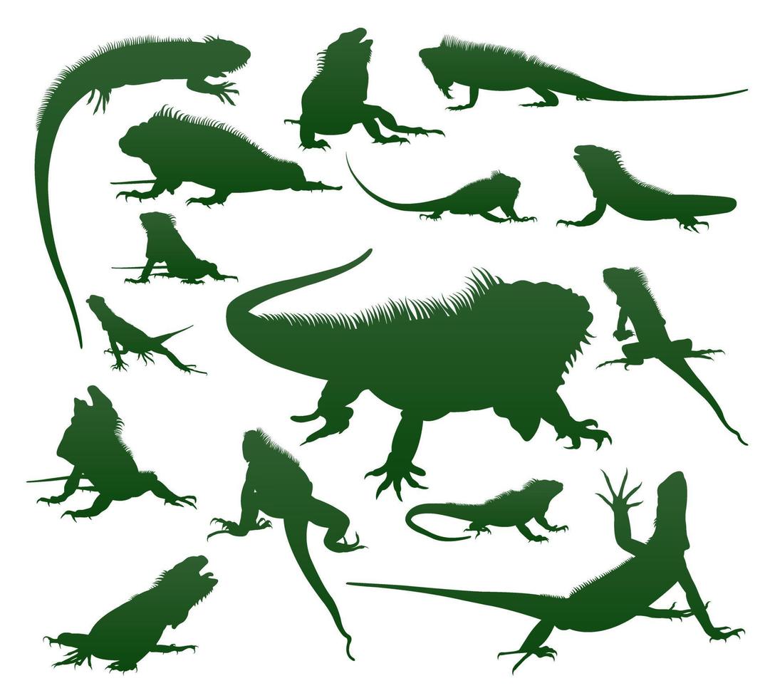 ensemble de silhouettes de lézard iguane vecteur