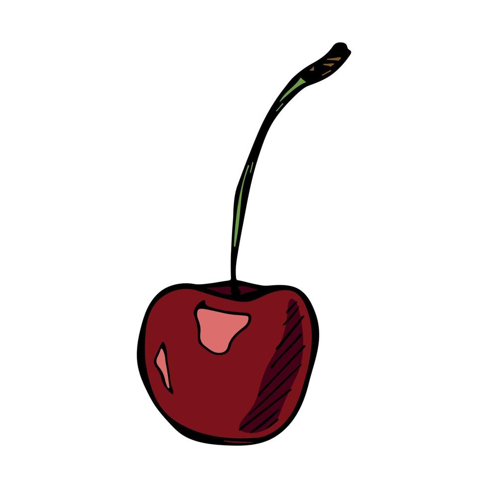 vecteur cerise clipart. icône de baies dessinées à la main. illustration de fruits