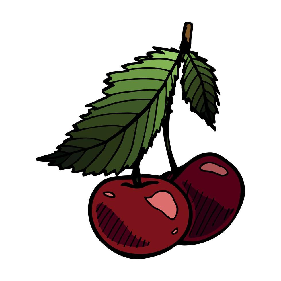 vecteur cerise clipart. icône de baies dessinées à la main. illustration de fruits