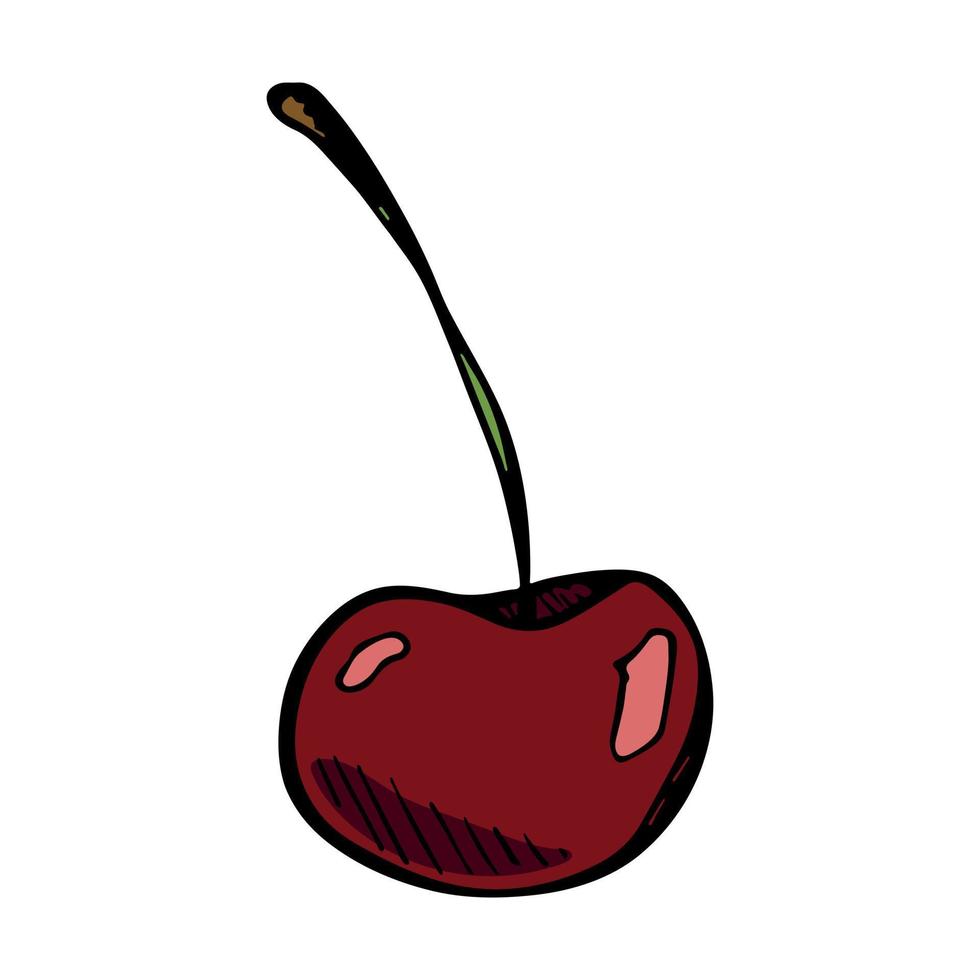 vecteur cerise clipart. icône de baies dessinées à la main. illustration de fruits