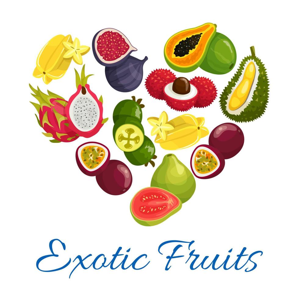 symbole de forme de coeur de fruits exotiques avec des icônes de fruits vecteur