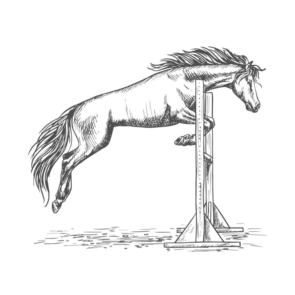 cheval blanc sautant par-dessus la barrière croquis portrait vecteur