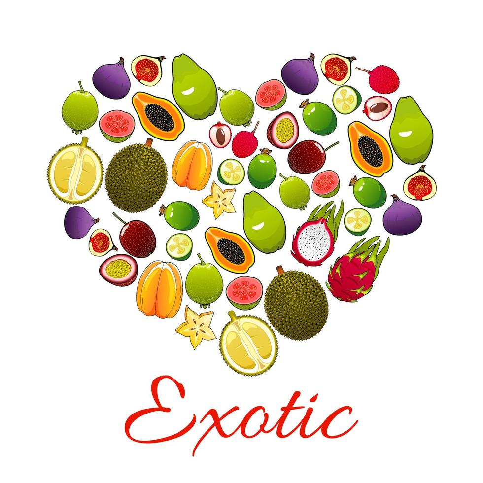 affiche coeur de fruits exotiques pour la conception de produits alimentaires vecteur