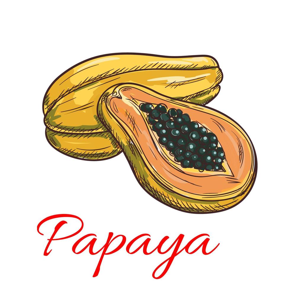 icône de croquis de couleur vecteur papaye